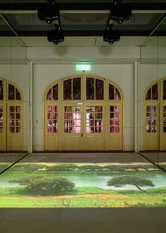 Strolling Around poster