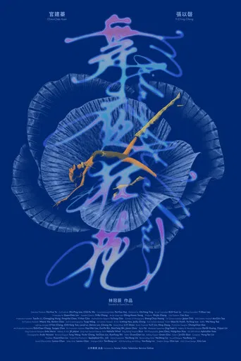 Midnight Valerie poster