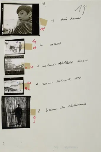 Der Fischmarkt und die Fische poster