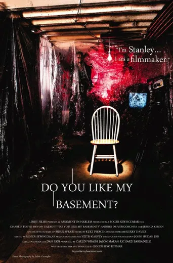 Do You Like My Basement? poster