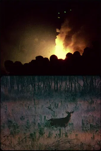 Après le volcan poster