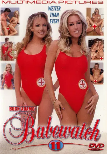 Babewatch 11 poster
