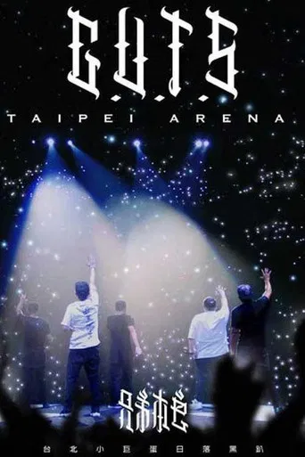 兄弟本色：台北小巨蛋日落黑趴演唱會 poster