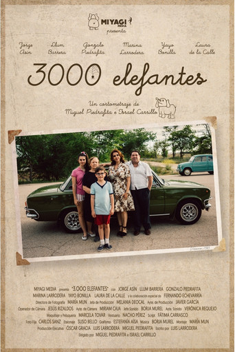 3000 elefantes poster