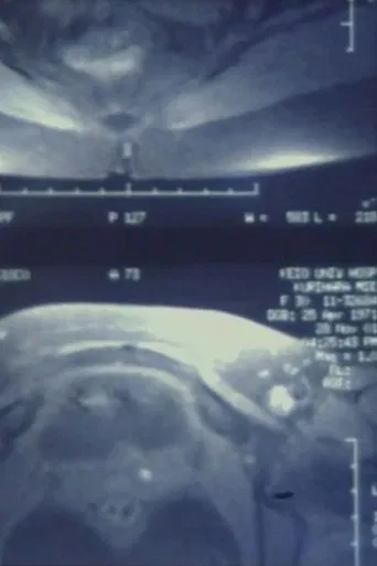 無音の領域 poster