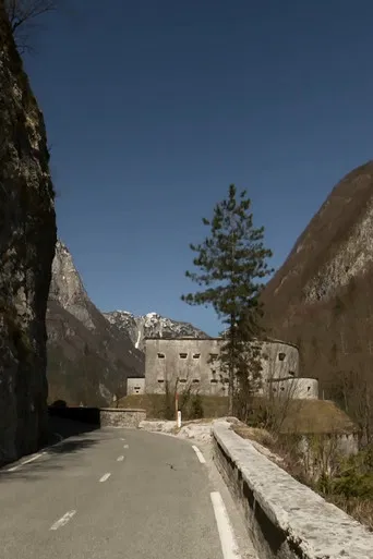 Nothing Should Surprise Us poster