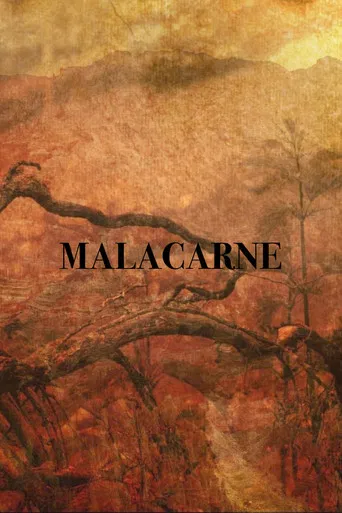 Malacarne poster