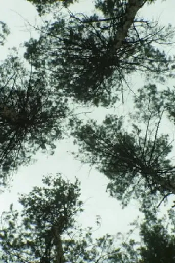 Nature_Nature poster