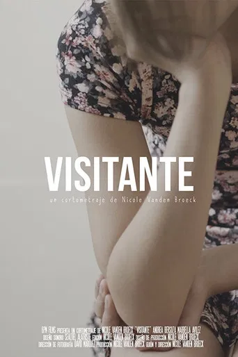 Visitante poster