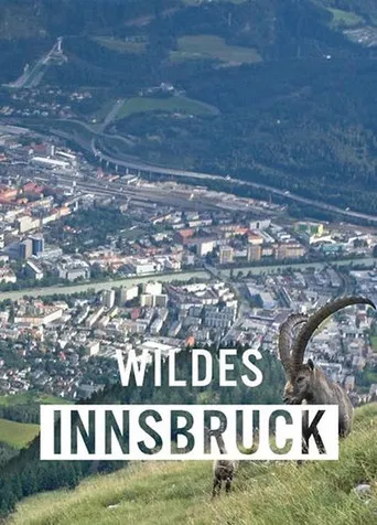 Wildes Innsbruck: Zwischen Moderne und alpiner Wildnis poster