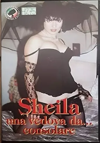 Una vedova da... consolare poster