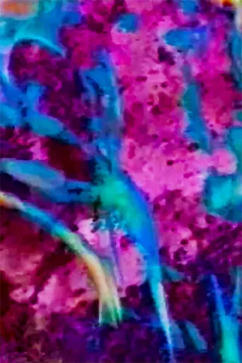 Chronos Fragmented poster