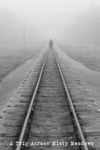 A Trip Across Misty Meadows poster