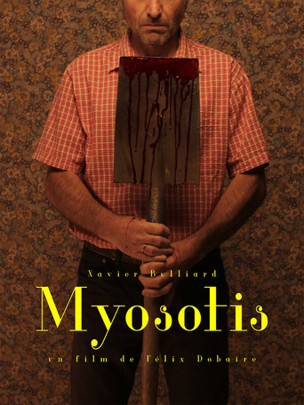 Myosotis poster