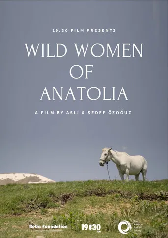 Wild Women of Anatolia poster
