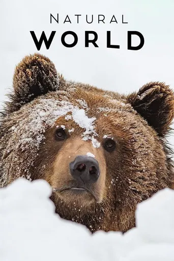 France: The Wild Side poster