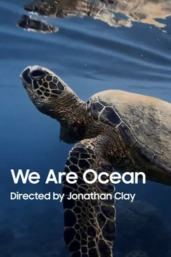 We Are Ocean poster