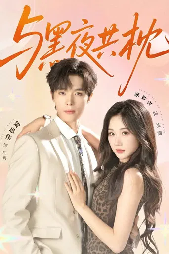 与黑夜共枕 poster