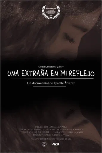 A stranger in my reflection poster