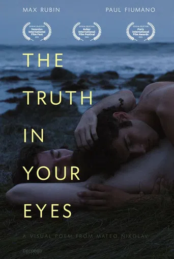 The Truth in Your Eyes poster