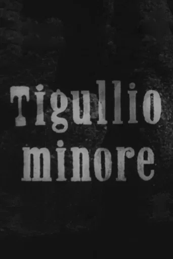 Tigullio minore poster