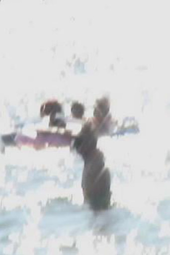 Endless Summer End poster