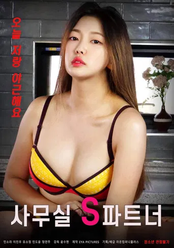 Office S Partner poster