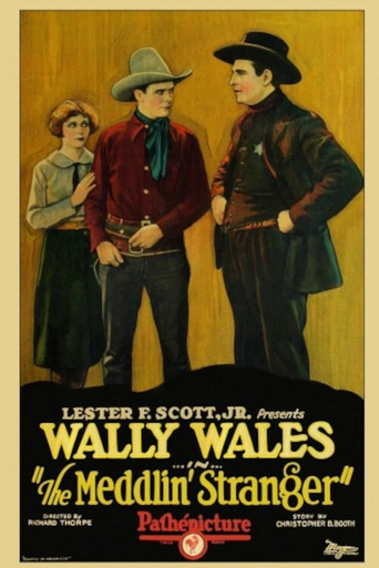 The Meddlin' Stranger poster