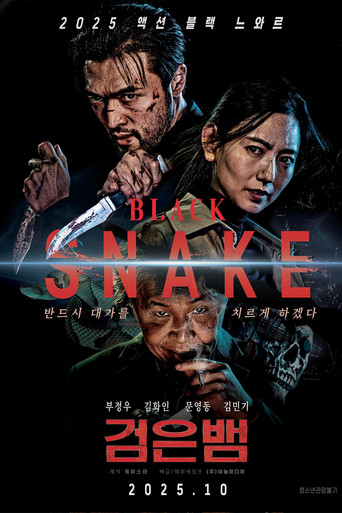 Black Snake poster