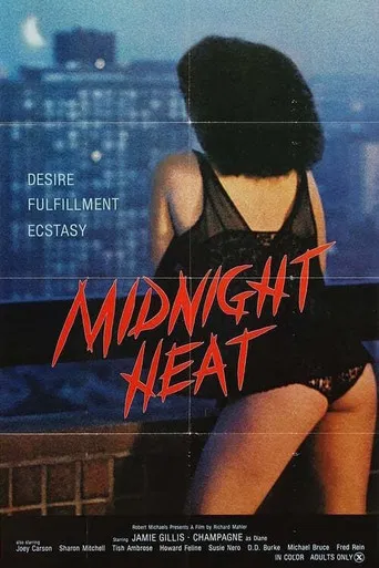 Midnight Heat poster