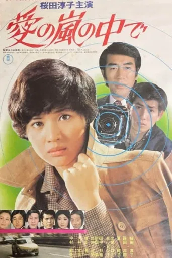 Inside the Storm of Love poster