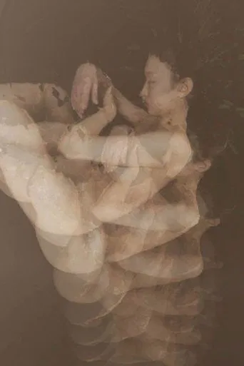 Sister Lin-Tou poster