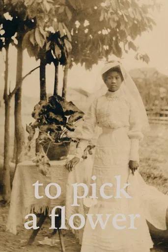 To Pick a Flower poster