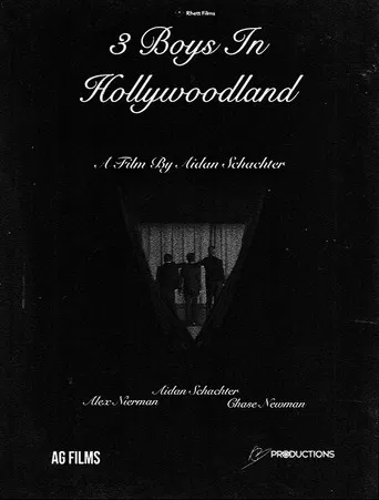 3 Boys In Hollywoodland poster