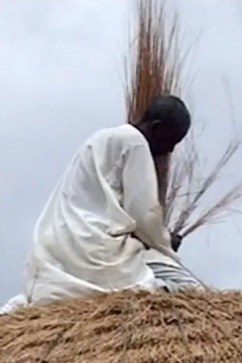 Diyam Wala: Water and Life in Kalfou Cameroon poster