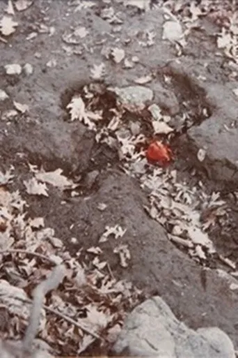 Heart of Rock with Blood poster