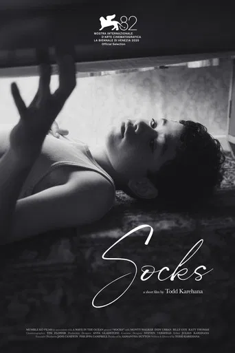 Socks poster