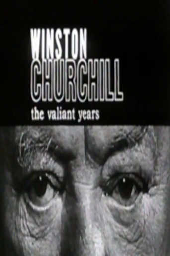 Winston Churchill: The Valiant Years poster