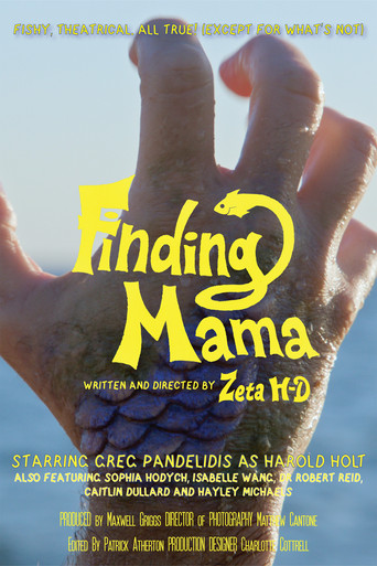 Finding Mama poster