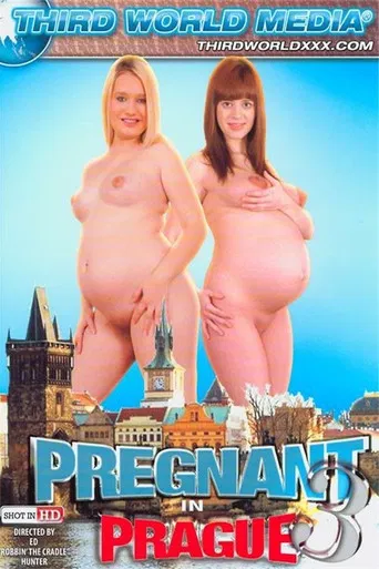 Pregnant In Prague 3 poster