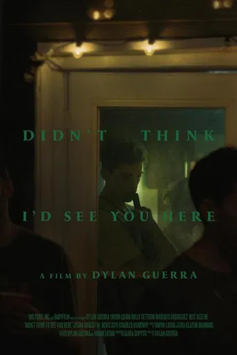 Didn't Think I'd See You Here poster
