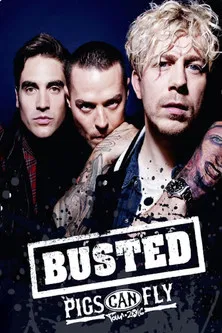 Busted: Pigs Can Fly Tour 2016 poster