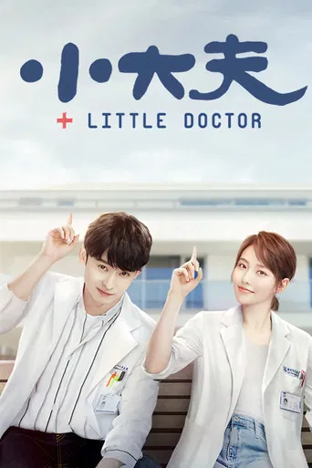 Little Doctor poster