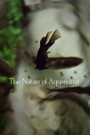 The Nature of Aquariums poster