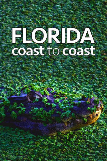 Florida Coast To Coast poster