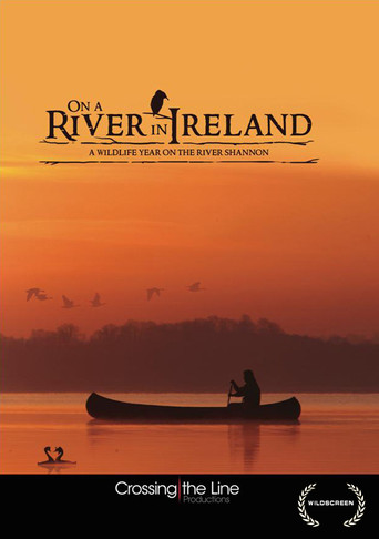 On a River in Ireland poster