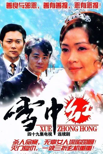 雪中红 poster