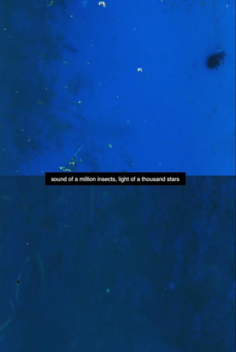 Sound of a Million Insects, Light of a Thousand Stars poster