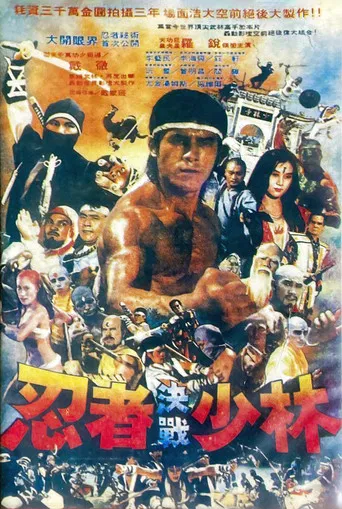 忍者決戰少林 poster