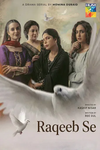 Raqeeb Se poster